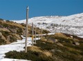 Kangaroo Ridge_20070527_209